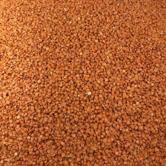 Lentille Corail Bio En Vrac 500g VRACBIO