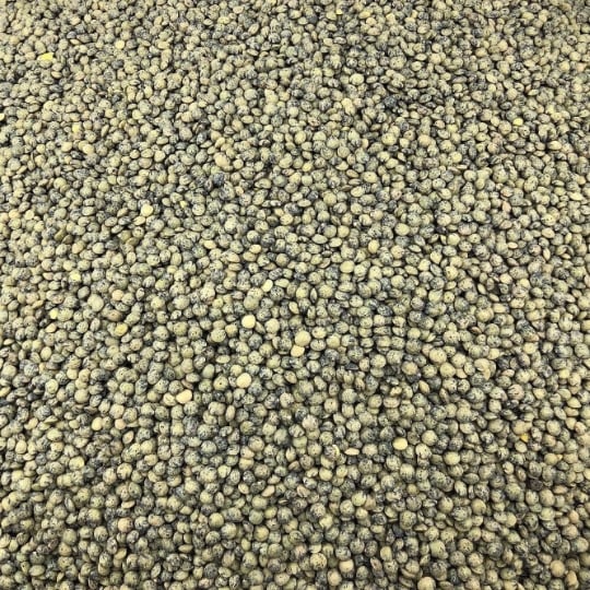 Lentille Verte Bio En Vrac 500g VRACBIO