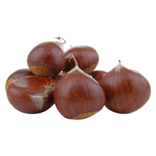 Marrons G2
