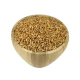 Epeautre Bio En Vrac 25 Kg VRACBIO