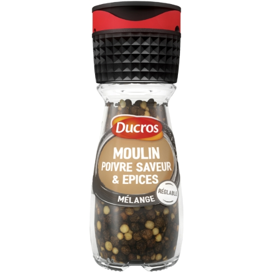 Assaisonnement de Poivre et d'Épices DUCROS