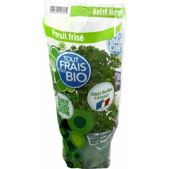 Persil Frisé Bio frais