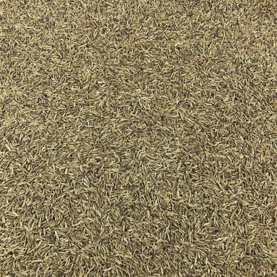 Cumin Graines Bio En Vrac 2 Kg VRACBIO