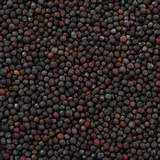 Moutarde Noire Graines Bio En Vrac 125g VRACBIO