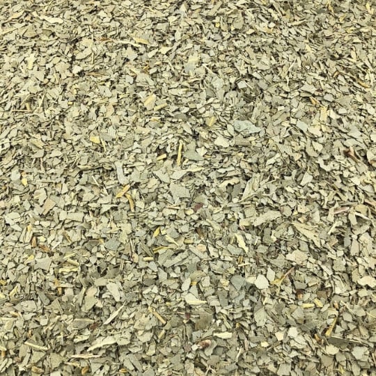 Eucalyptus Feuilles Bio En Vrac 500g VRACBIO