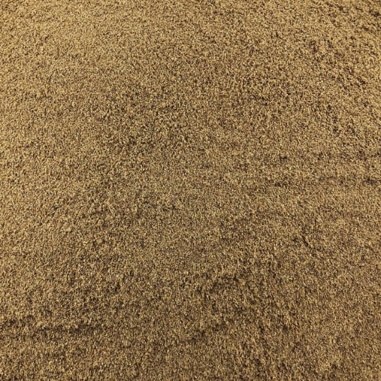 Coriandre Poudre Bio En Vrac 10 Kg VRACBIO