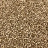 Coriandre Graines Bio En Vrac 10 Kg VRACBIO