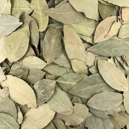 Laurier Feuilles Bio En Vrac 1 Kg VRACBIO