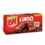 Gâteaux au chocolat croquant moelleux et fondant BN