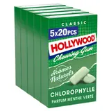 Chewing gum regular spearmint HOLLYWOOD