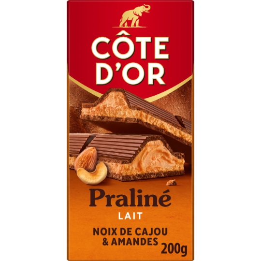 Tablette de Chocolat Lait Praliné Cajou Amandes COTE D'OR