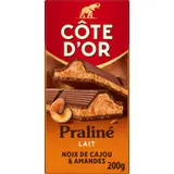 Tablette de Chocolat Lait Praliné Cajou Amandes COTE D'OR