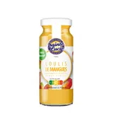 Coulis Mangue SAINTE LUCIE