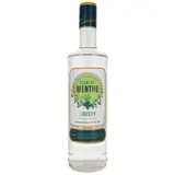 Liqueur Menthe Fraîche Rafraîchissante et Digestive 18% ECLAT DE MENTHE