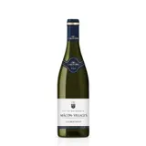 Vin Blanc AOC Mâcon-Villages L'AURORE
