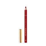 Crayon à lèvres Contour Teinte 300 Color Riche L'OREAL PARIS