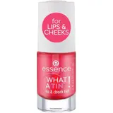 Blush Rouge à lèvres et à joues liquide ESSENCE