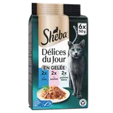 Sachets fraîcheur chat Délices du Jour thon et saumon en gelée SHEBA -6x50g