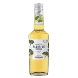 Crème de fleur de sureau GIFFARD 16° 50cl