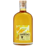 Arrangé saveur citron et gingembre Sainte Espérance U 40° 50cl