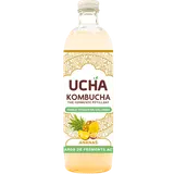 Kombucha thé fermenté pétillant ananas UCHA 75cl