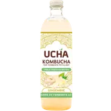 Thé fermenté pétillant Gingembre energy KOMBUCHA, bouteille 75cl
