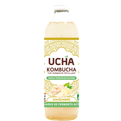 Thé fermenté pétillant Gingembre energy KOMBUCHA, bouteille 35cl