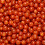 Tomate cerise allongée duo SAVEOL bio - Barquette 250g