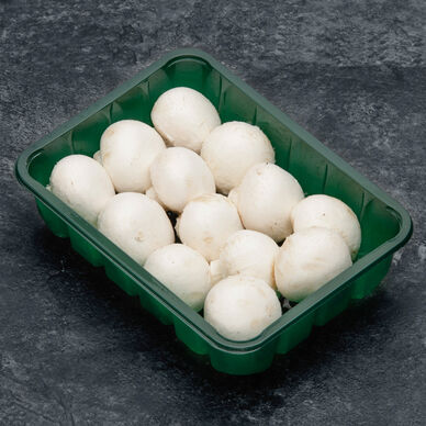 Champignon de Paris blond bio - Barquette 200g