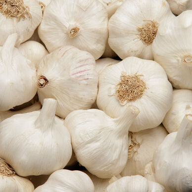 Ail blanc - Filet 250g