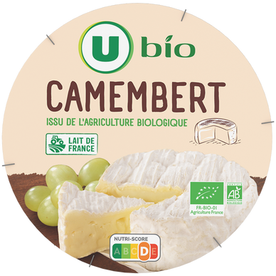 Camembert au lait pasteurisé 21%MG - 250g