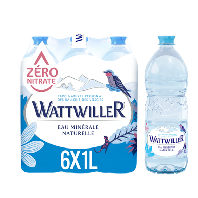 Eau minérale naturelle WATTWILLER, 6 bouteilles de 1l