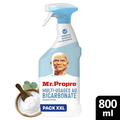 Spray entretien bicarbonate MR PROPRE 800mL