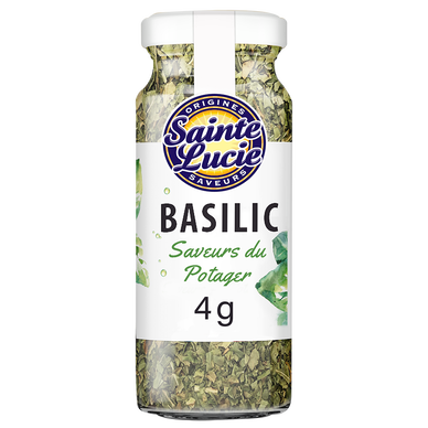 Basilic SAINTE LUCIE
