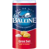 Gros sel de mer iodé et fluoré LA BALEINE, boîte verseuse de 500g