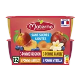 Dessert fruitier sans sucre ajouté multi fruits MATERNE 12x100g