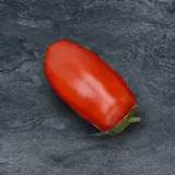 Tomate allongée Torino SAVEOL