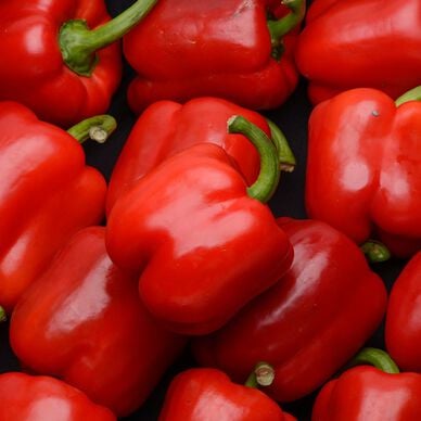 Poivron rouge
