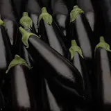 Aubergine