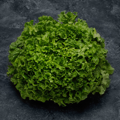 Salade frisée fine - Barquette 280g