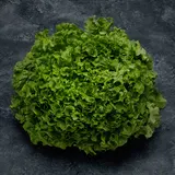 Salade frisée fine - Barquette 280g