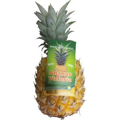 Ananas Victoria - La pièce