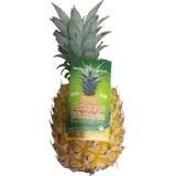 Ananas Victoria - La pièce