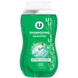 Shampooing anti-pelliculaire eucalyptus - 250ml