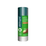 Stick pour les lèvres phyto reparateur protecteur formule indienne DERMOPHIL, x2