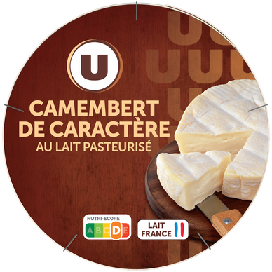 Camembert de caractère au lait pasteurisé  21%MG, 250g