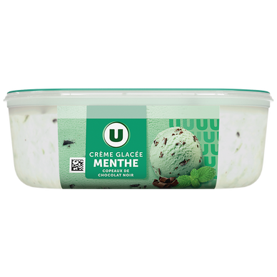 Bac crème glacée menthe Chocolat - 500g
