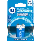 Pile Autonomie 6LP3146 9V