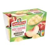 Dessert fruitier avec morceaux Nectarine blanche ANDROS  -  4 pots de100g