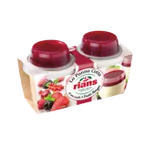Dessert Panna Cotta coulis fruits rouges RIANS - 2 pots de 120g